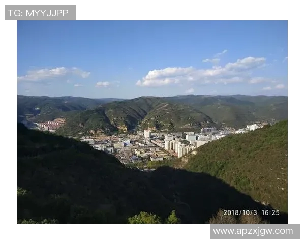 成都与重庆极限运动队赛后心理素质分析与反思