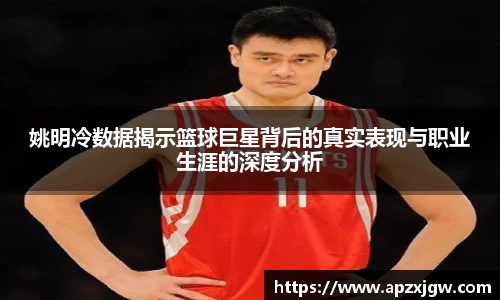 姚明冷数据揭示篮球巨星背后的真实表现与职业生涯的深度分析