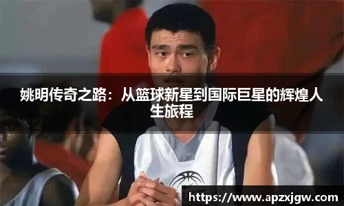 333体育官网