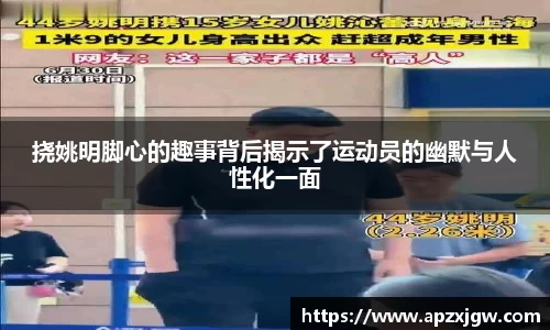 333体育直播平台